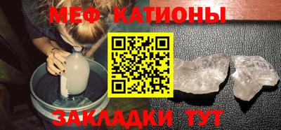 прущие грибы Усть-Джегута