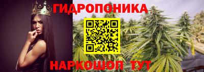 мяу мяу мука Чапаевск