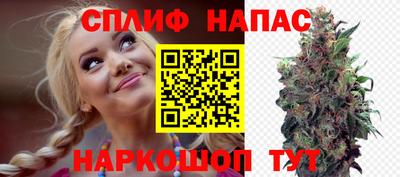 гидра Уссурийск