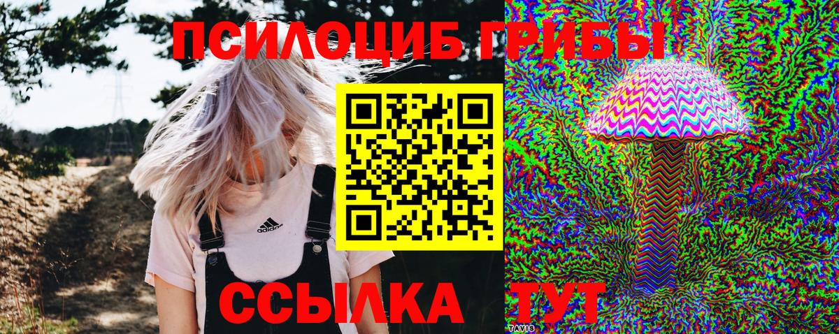 Галлюциногенные грибы Psilocybe Нефтекумск